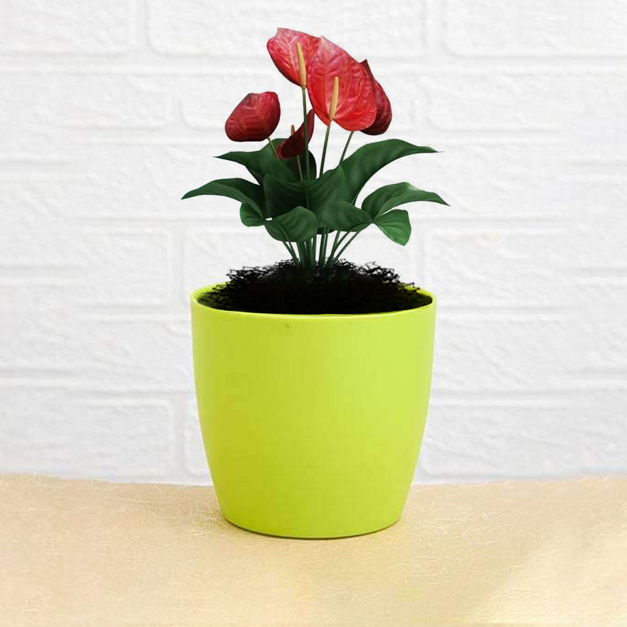 Plastic round flower pots for indoor/outdoor use Plastic round flower pots for indoor/outdoor use